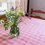 La Casa Di Luisa, Un Tuffo Nel Verde! *