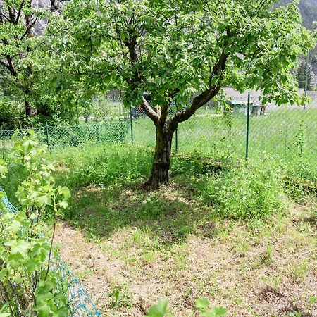 La Casa Di Luisa, Un Tuffo Nel Verde! Casa vacanze