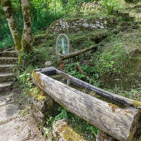 Dom wakacyjny La Casa Di Luisa, Un Tuffo Nel Verde!